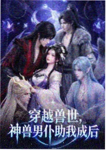 航海王和之国篇剧集条目封面